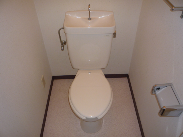 Toilet. Western style Standard type