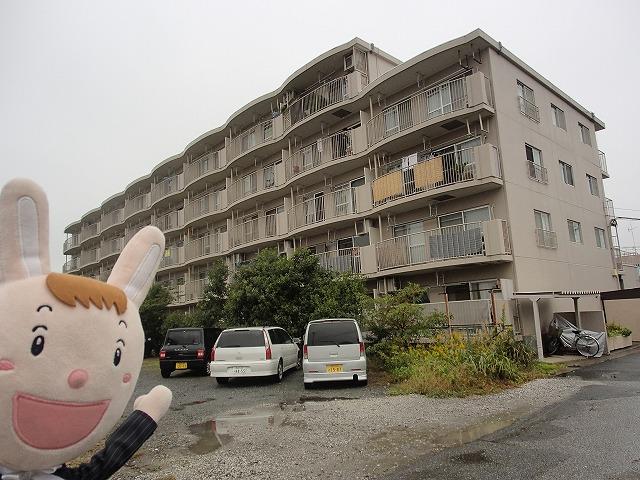 Local appearance photo. Local (October 25, 2013) Shooting