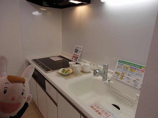 Kitchen. Indoor (October 25, 2013) Shooting