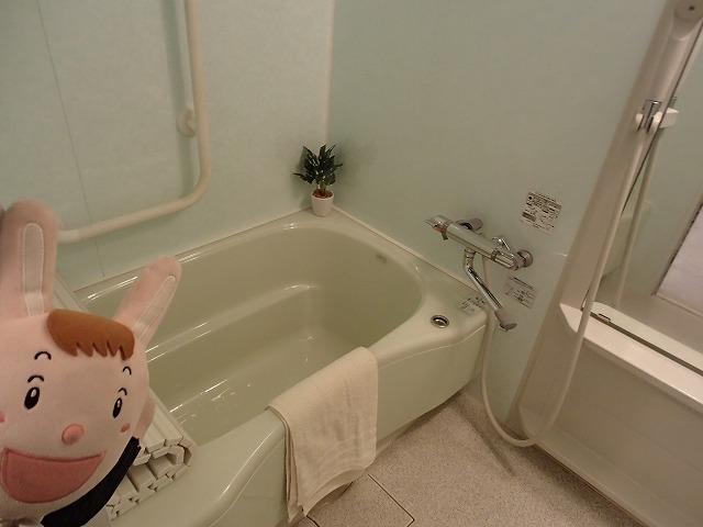 Bathroom. Indoor (October 25, 2013) Shooting