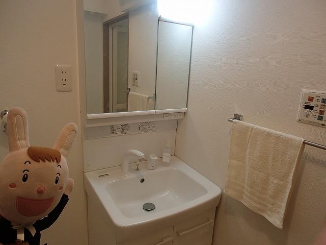 Wash basin, toilet. Indoor (October 25, 2013) Shooting