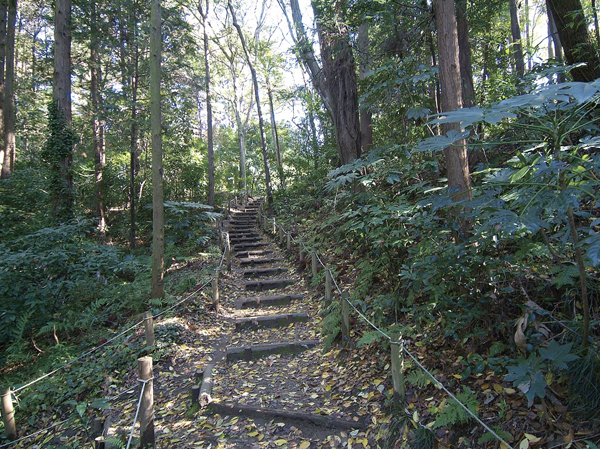 Surrounding environment. Nishihatsuishi birds of forest (about 2.02km)