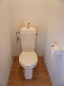 Toilet. Please reference because it is the room photo of the other in Room. 