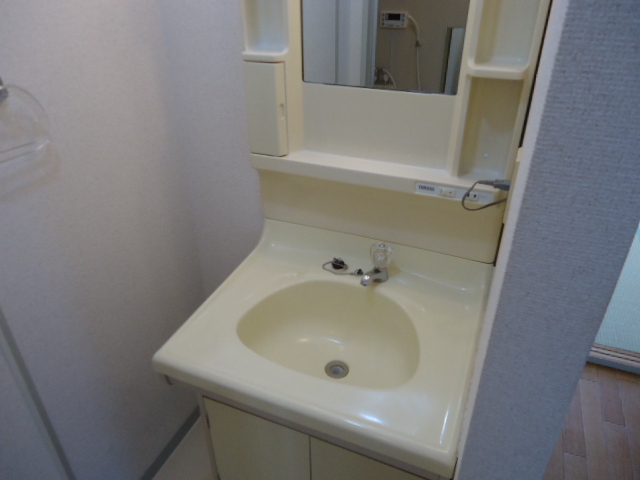 Washroom. Stand-alone is a washbasin