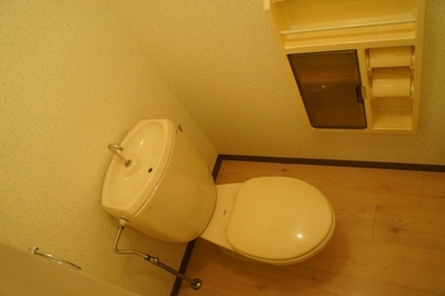 Toilet. Cozy toilet with no feeling of pressure