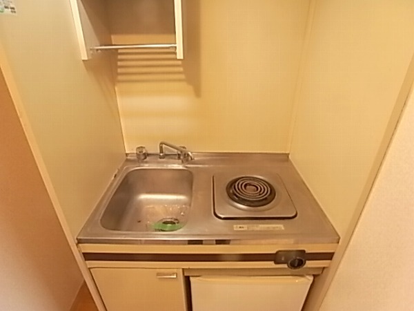 Kitchen. Electric stove ・ Fridge