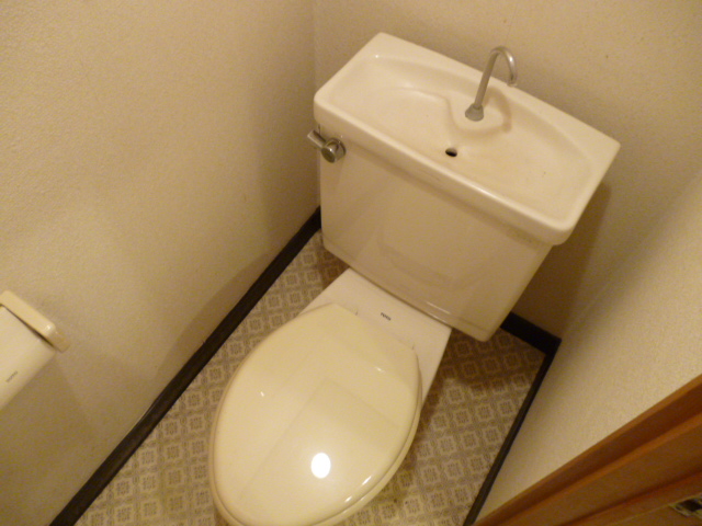 Toilet. Western style Standard type