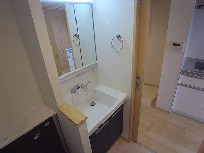 Washroom. Stylish shampoo dresser.