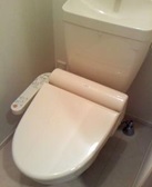 Toilet. Popular bidet with toilet