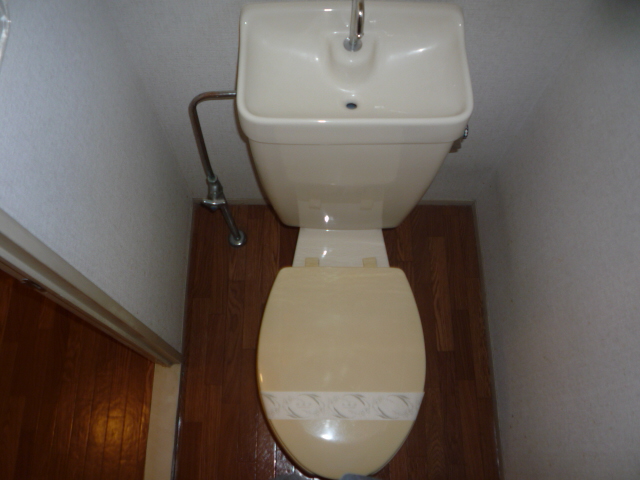 Toilet. Western style Standard type