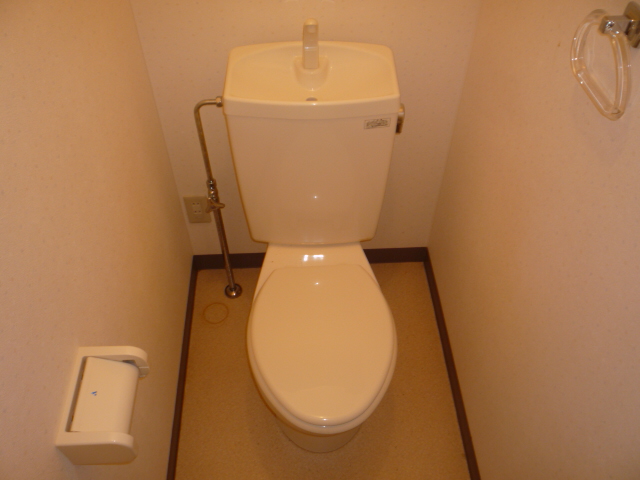 Toilet. Western style Standard type