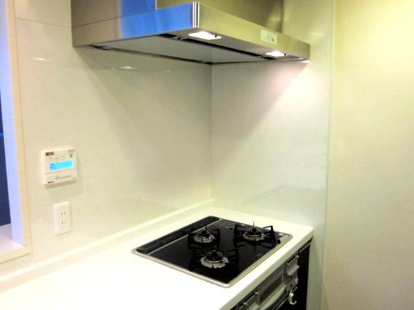 Kitchen. Your easy-to-clean glass top stove! Ventilation fan was also cleaning!