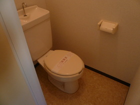 Toilet. Bathroom