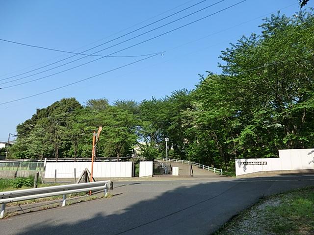 Junior high school. Nagareyama Municipal Nishihatsuishi 700m up to junior high school