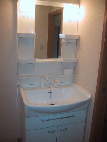 Washroom. Stylish shampoo dresser