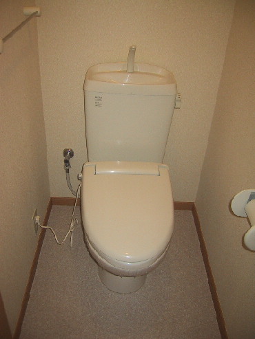 Toilet. Cleanliness of the water around is but it is important