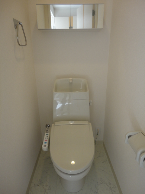 Toilet. Convenient small shelf & amp; amp; bidet corresponding type toilet