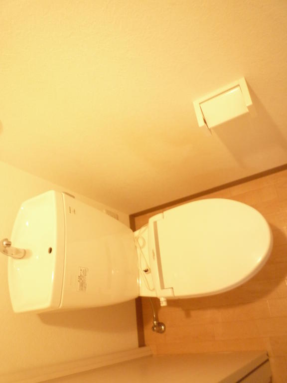 Toilet. It comes with a shelf directly behind