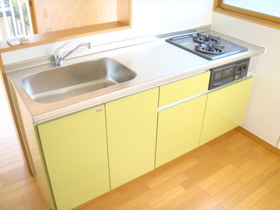 Kitchen. Stylish green system Kitchen