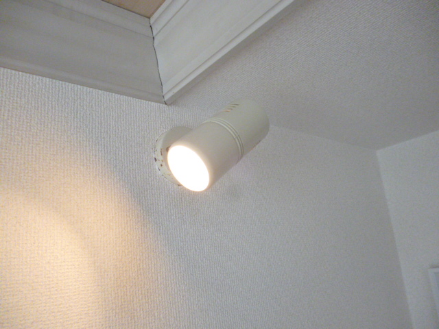 Other Equipment. Stylish indirect lighting with in-room