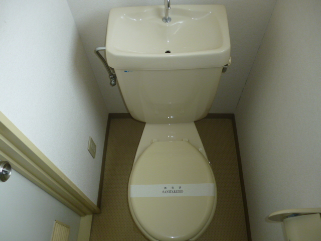 Toilet. Western style Standard type