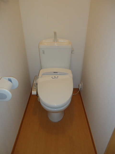 Toilet. Stylish bidet with toilet