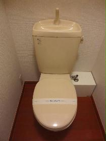 Toilet. Toilet