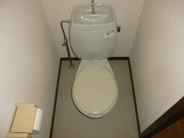 Toilet. Western style Standard type