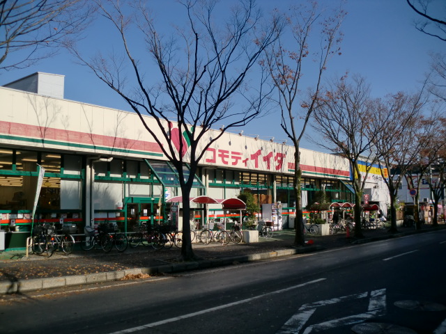 Supermarket. Commodities Iida Nagareyama store up to (super) 317m