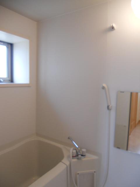 Bathroom. Indoor (January 2013) Shooting