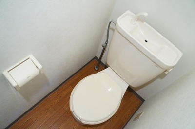 Toilet. Clean toilet