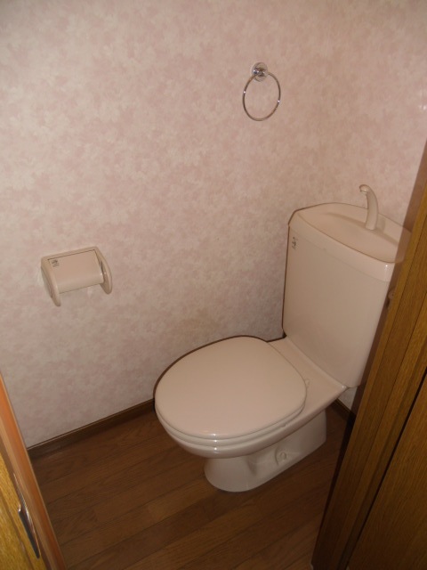 Toilet. There paper holder