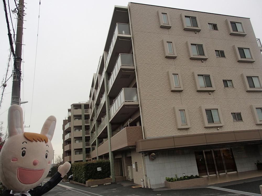 Local appearance photo. Local (December 27, 2013) Shooting