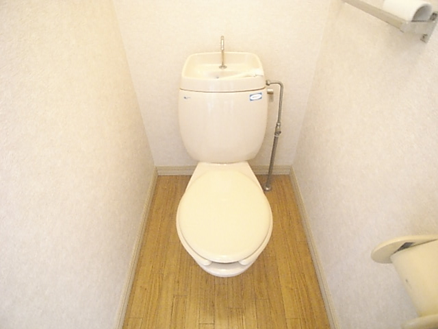 Toilet. Of course, it is separate from the bath