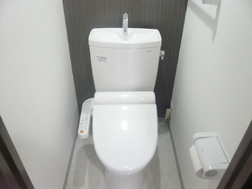 Toilet. Happy cleaning function toilet seat