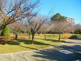 Other. Yatsu Rose Garden (The photograph is a park) Walk 1 minute to about 20m