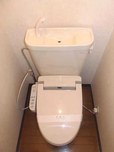 Toilet. Beautiful Western-style toilet.