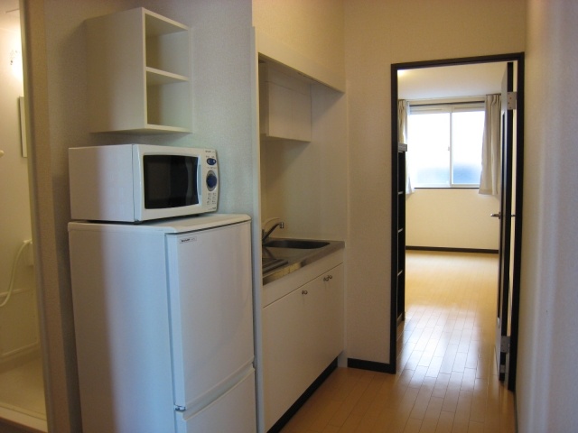 Other Equipment. Refrigerator & Microwave