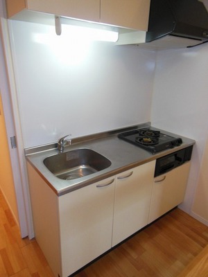 Kitchen. Cuisine is the two-neck with a gas stove, which will want to