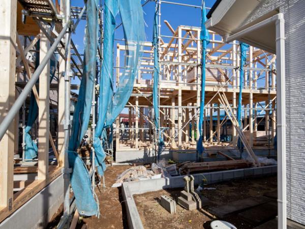 Local appearance photo. 2013 / 11 / 27 shooting