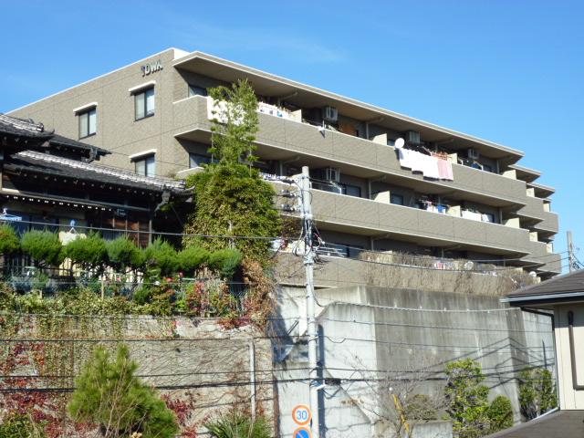 Hill photo. Local (12 May 2013) Shooting