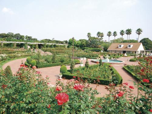 Other. At a distance of a 15-minute walk, "Yatsu Rose Garden". There is also a trial field of Japan rose Association, The world of roses is the prototype, It has announced Meika. The slope provided on the garden path, Enjoy watching stroll through the rose by wheelchair.