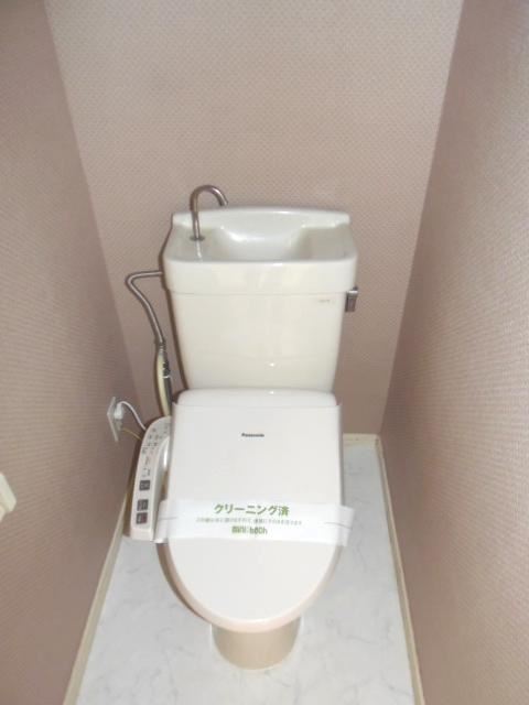 Toilet. Beautiful Western-style toilet.