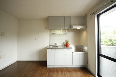 Kitchen. Kitchen space to insert the light!