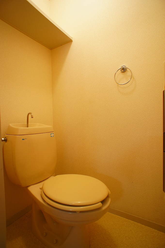 Toilet. It is with a convenient shelf and a large stocker