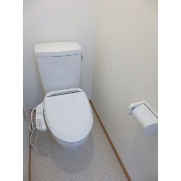 Toilet. Cleaning heating toilet seat