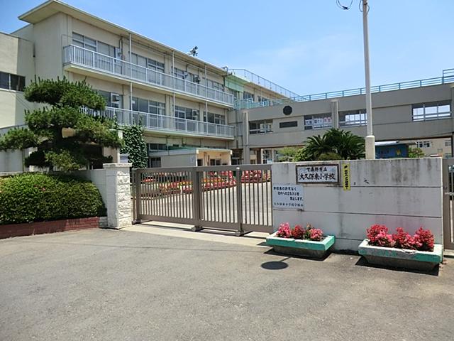 Primary school. Narashino Municipal Okubohigashi to elementary school 240m