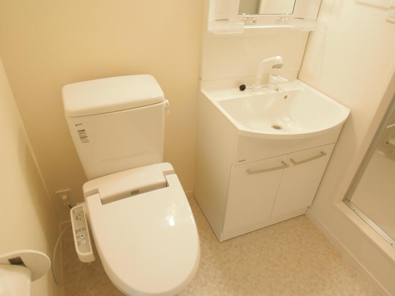 Toilet. Also it comes with a bidet