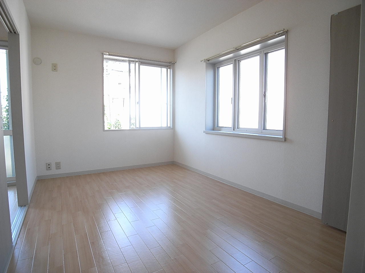 Living and room. A bright room with two-sided lighting