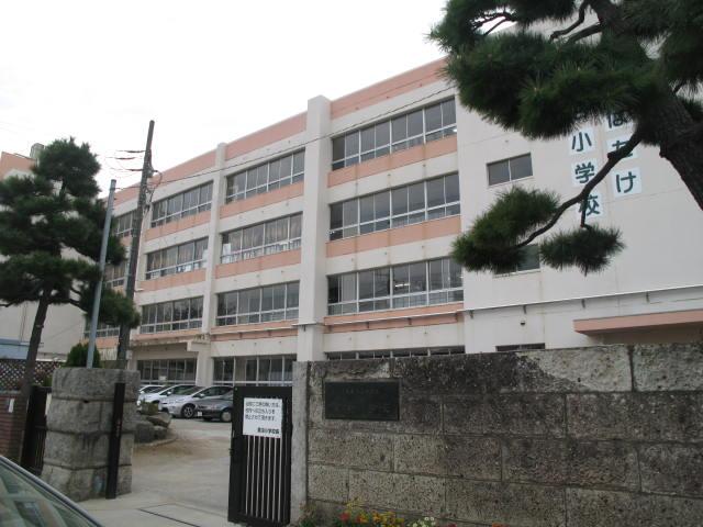 Primary school. Narashino is standing Saginuma elementary school facing the 765m avenue to elementary school.